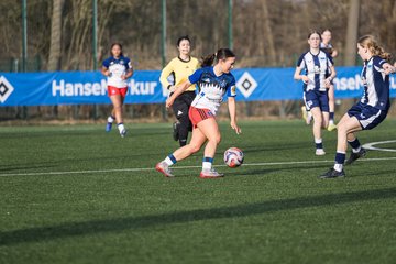 Bild 344 - wBJ Hamburger SV - Hertha BSC : Ergebnis: 2:1